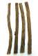 S�ssholz, Radice Natural Roots, 4 Stangen a ca. 14cm